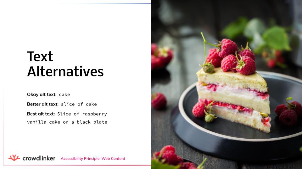 Text alternative examples